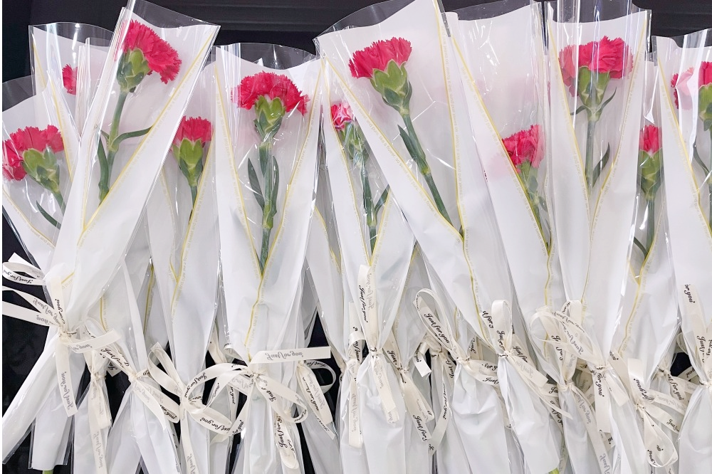 獻禮3.8節|勇做攀登者,奮進新未來